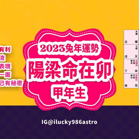 2023流年運勢免費算|紫微斗數2023癸卯年運勢